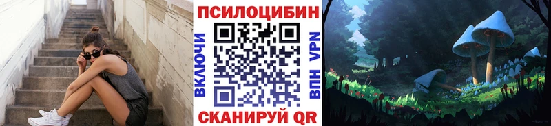 Купить закладки  Вельск  Галлюциногенные грибы Magic Shrooms 